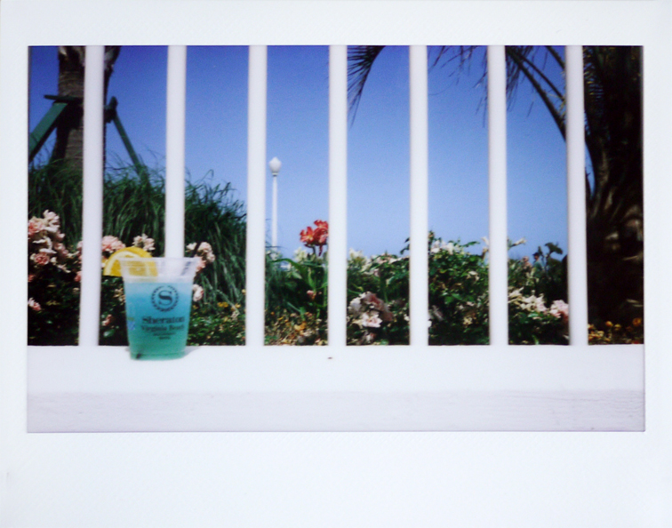 vabeach_polaroid4