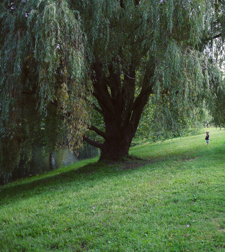 stormkingny_2