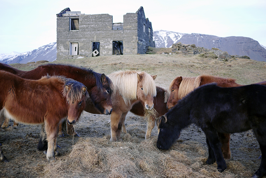 iceland_36