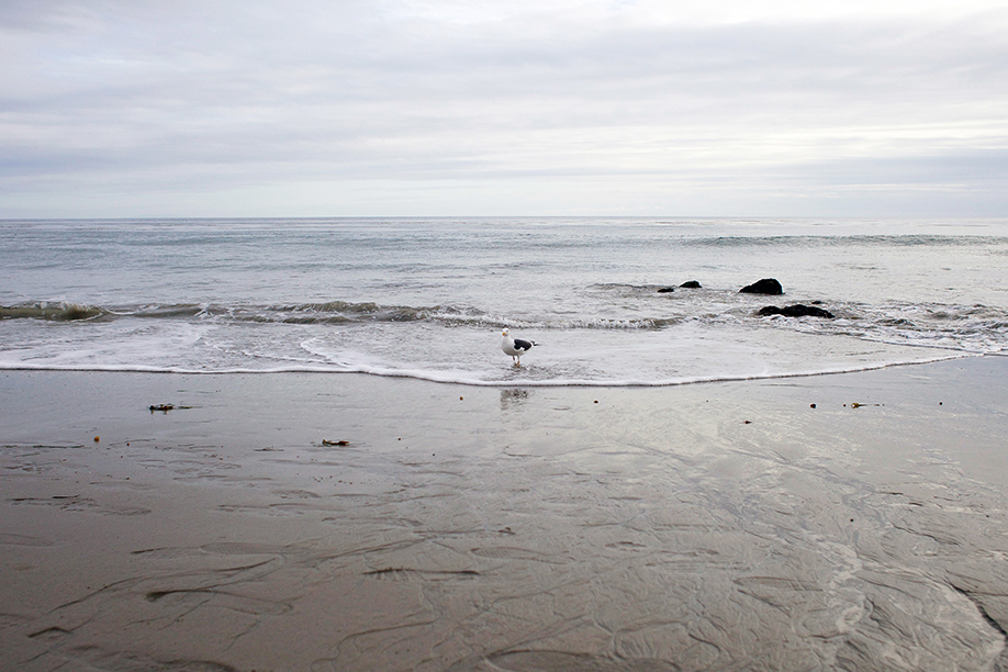 2014-2_Cali_27