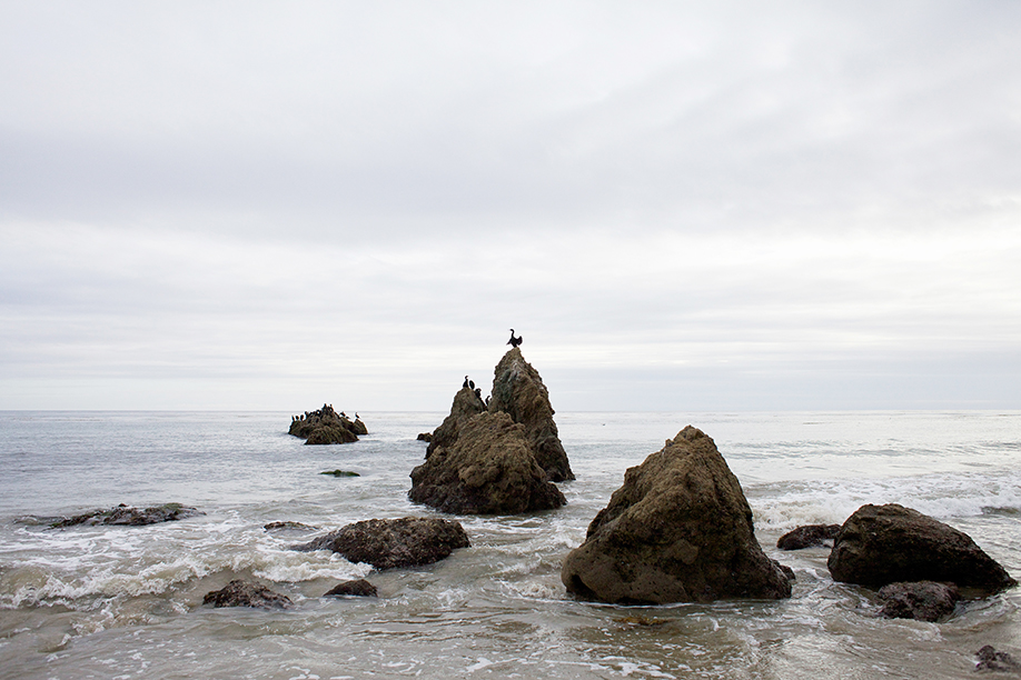 2014-2_Cali_29