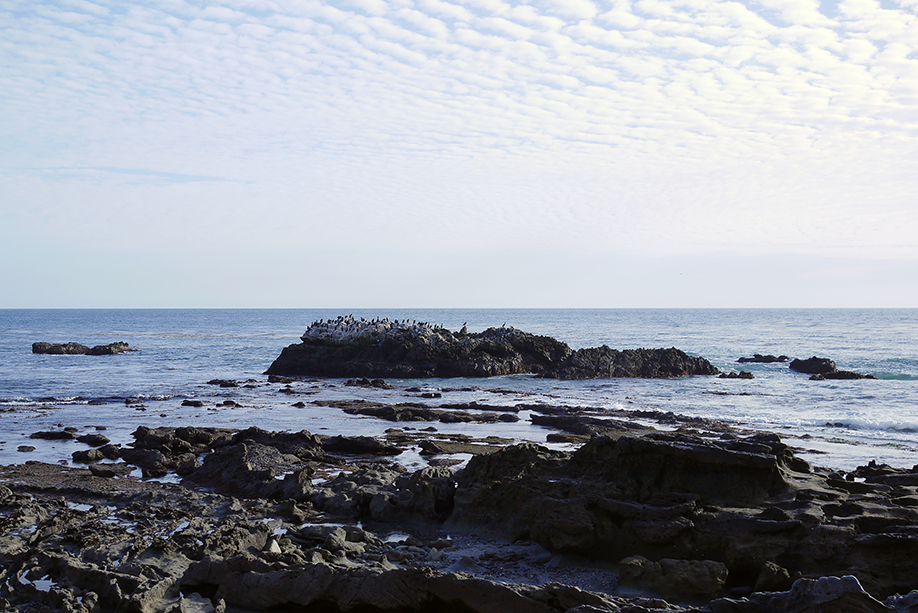 2014-2_Cali_40