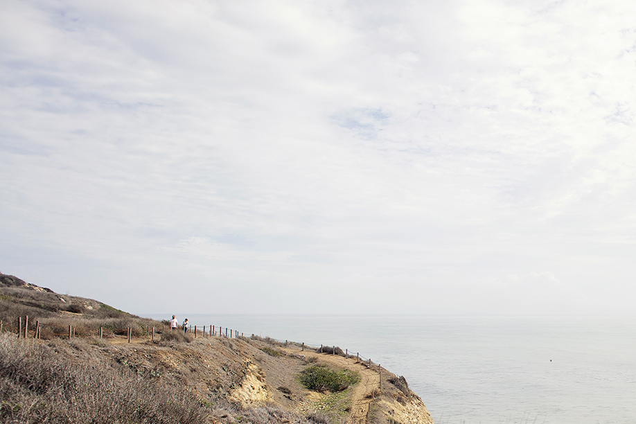 2014-2_Cali_5