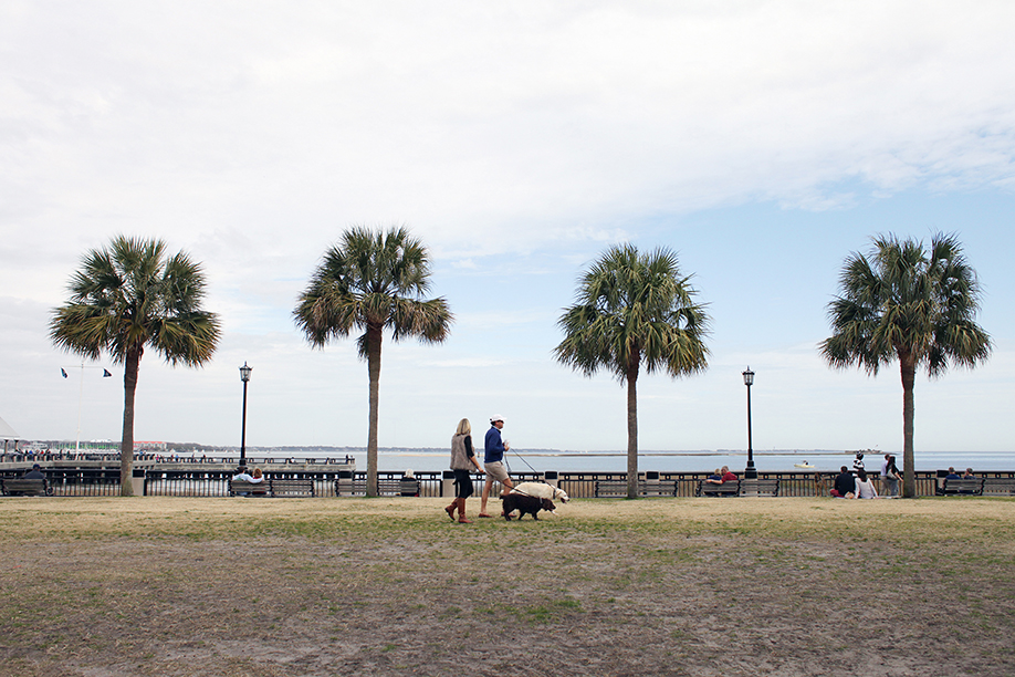 charleston1_10
