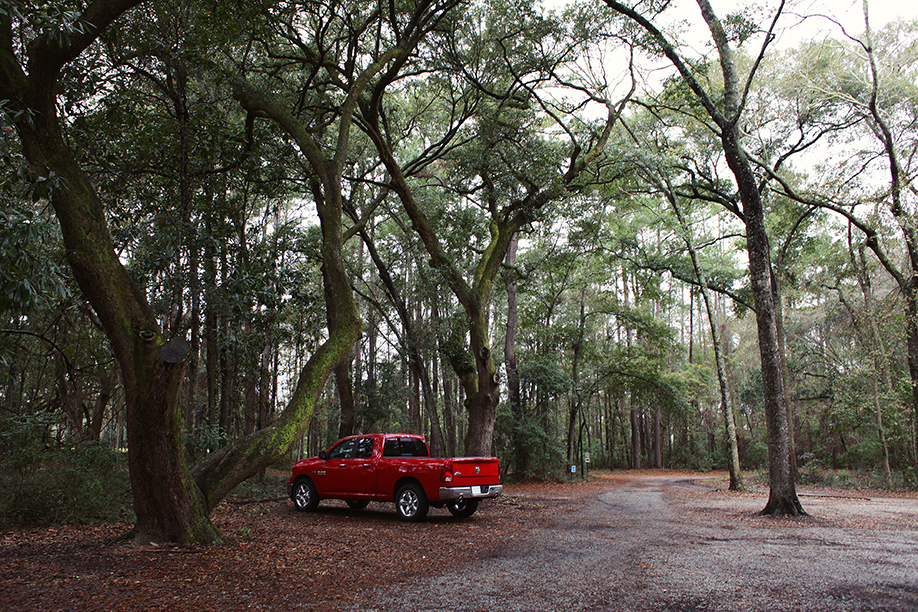 charleston1_26
