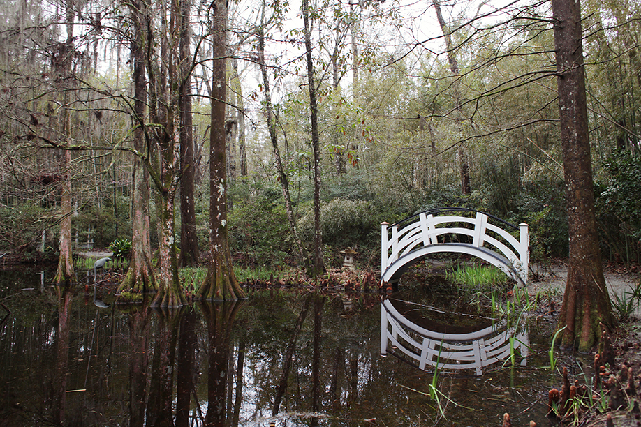 charleston1_29