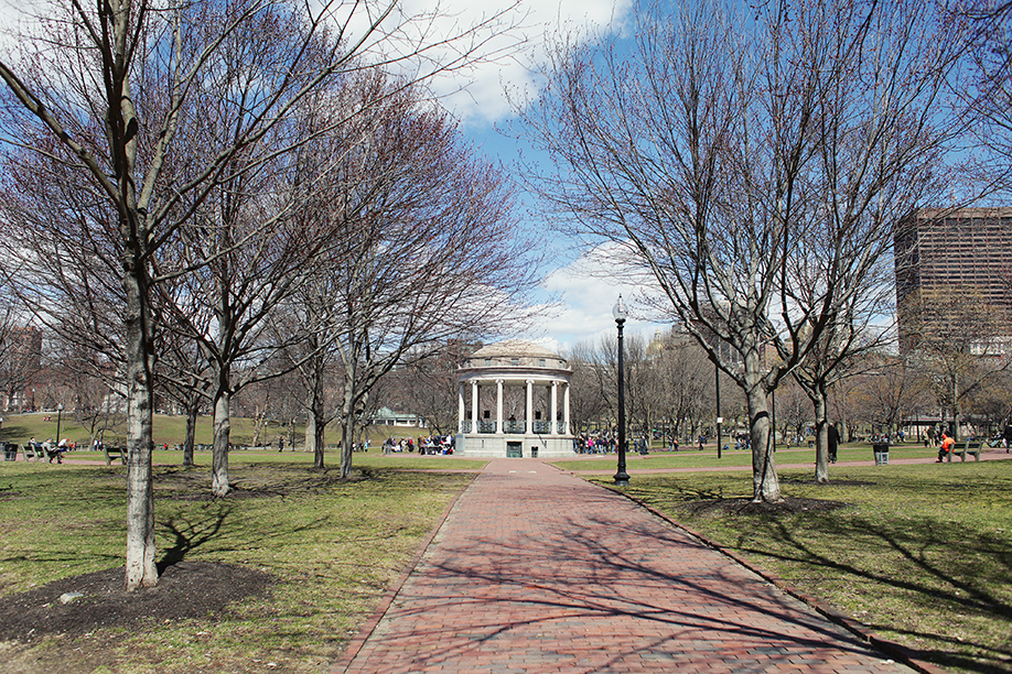 boston_15