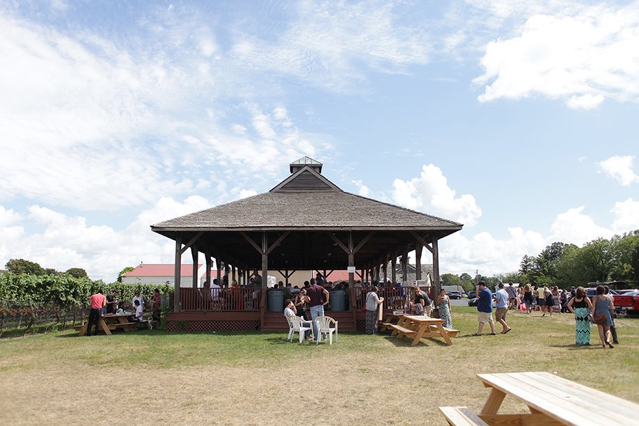 caufield_square-dance_5