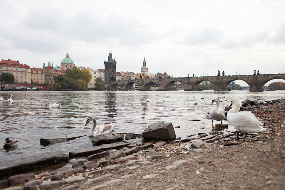 2015_Prague-396
