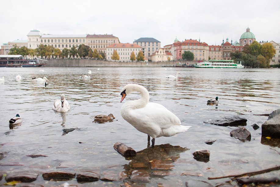 2015_Prague-404